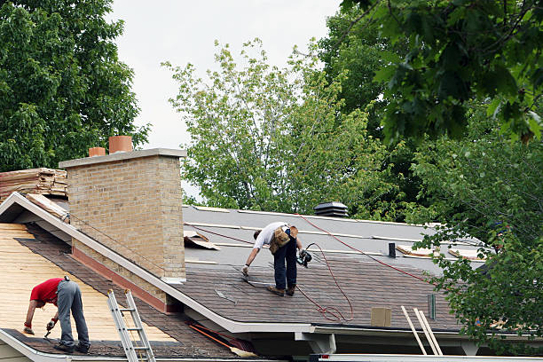 Best Residential Roof Replacement  in Fenton, MI