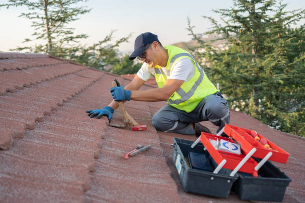 Best Sealant for Roof  in Fenton, MI