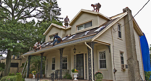 Best Roof Maintenance Services  in Fenton, MI