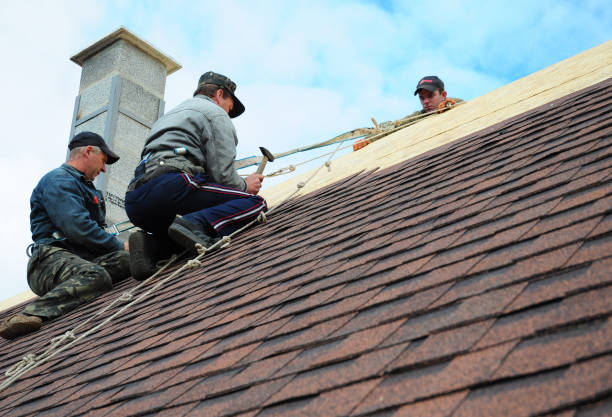 Best Roof Repair Estimates  in Fenton, MI