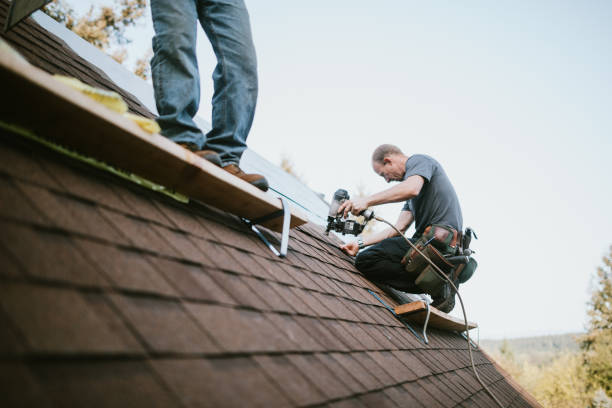 Best Flat Roof Repair Services  in Fenton, MI